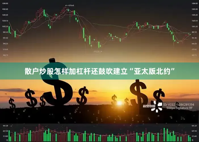 散户炒股怎样加杠杆还鼓吹建立“亚太版北约”