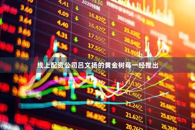 线上配资公司吕文扬的黄金树莓一经推出