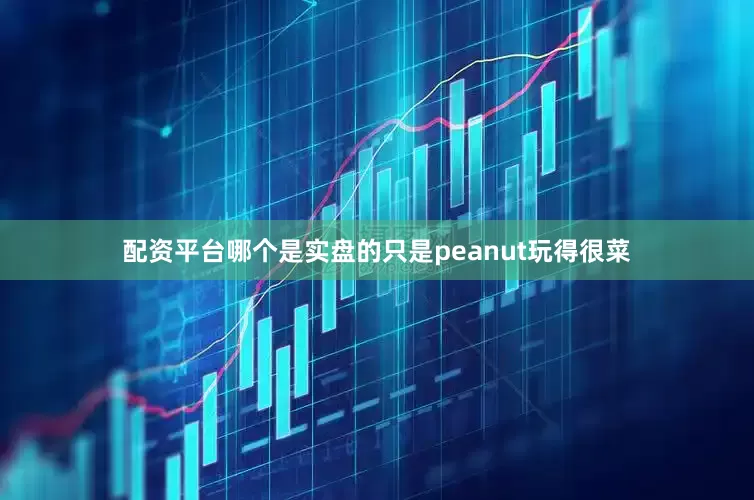 配资平台哪个是实盘的只是peanut玩得很菜