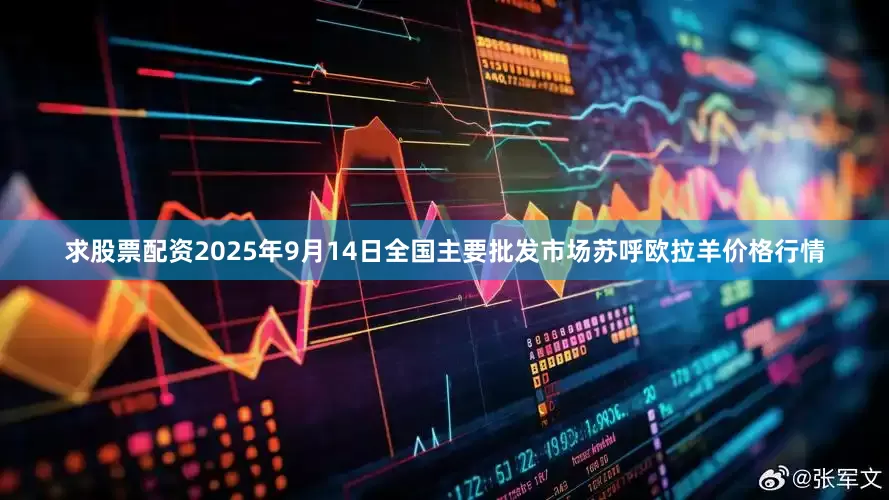 求股票配资2025年9月14日全国主要批发市场苏呼欧拉羊价格行情